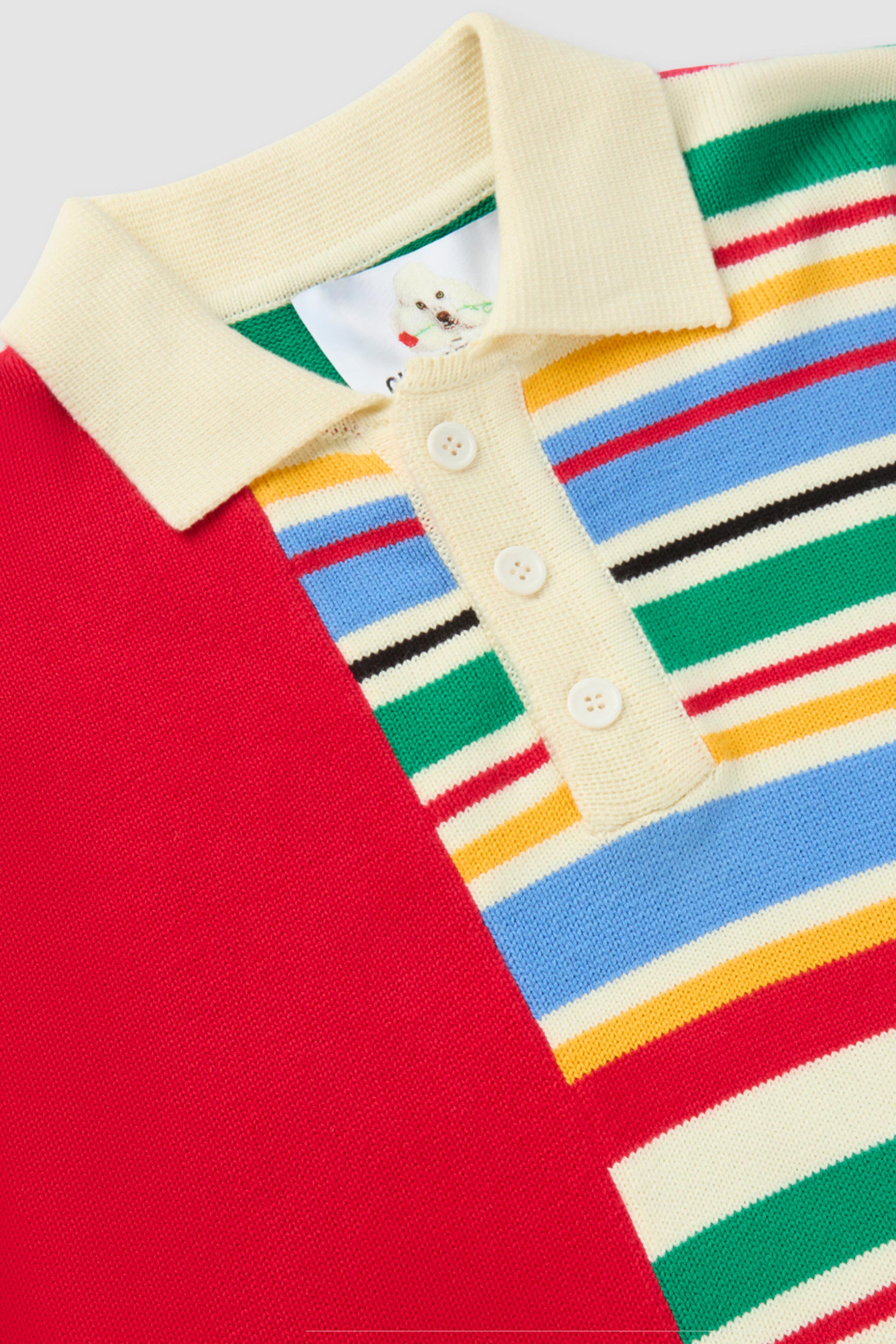 Las Rayitas colorful Striped Knitted Polo  